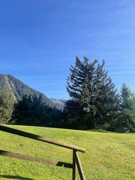 Les 2 Chamois - Duplex A Apartamento *